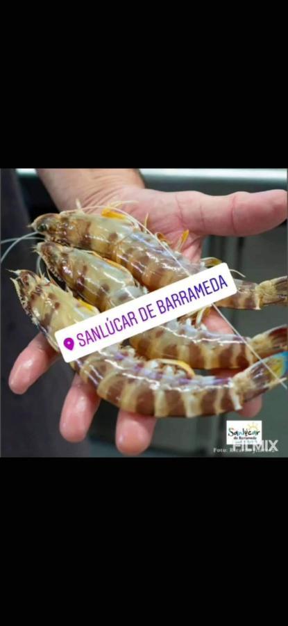 Piso De Dos Dormitorios En El Centro De Sanlúcar de Barrameda Exteriér fotografie